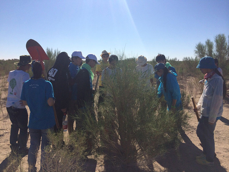 ������Ҫ��һ���ļ��ɺͽ�(j��ng)�(y��n)��ͬ�W(xu��)���_ʼ������һƬ�����ַ��ز����^�m(x��)�����[�ص�����