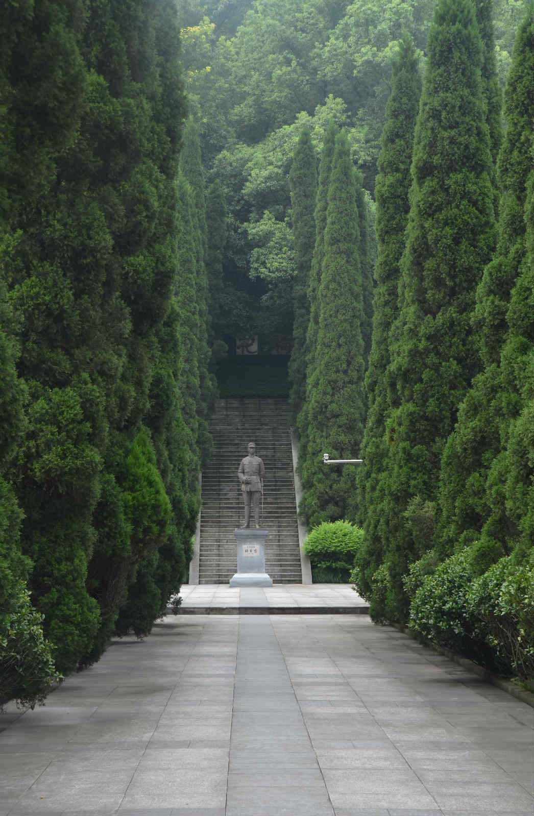 �D8 �����Ҍ�܊��@��ڣ��ޝ�� �z��