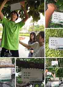 �K���r(n��ng)�W(xu��)Ժ�O(sh��)Ӌ(j��)У�@ֲ����Ƭ�������K�r(n��ng)�Gɫ���}