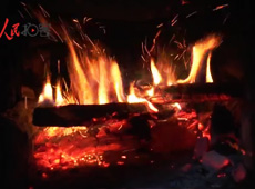 �t��t����~����������ʳ���ρ�